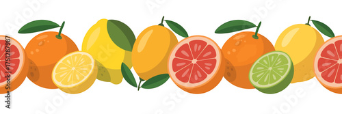 Vector art of seamless border of citrus fruits, vector illustration