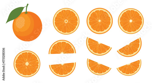 A selection of fresh and vibrant orange slices and a whole orange.