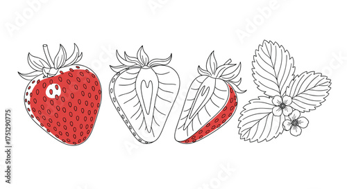 A simple hand-drawn sketch of red and white strawberries and leaves.
