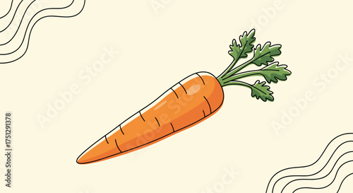 The bright orange root vegetable known as a carrot is depicted in this illustration.