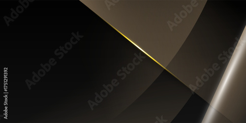 Black background with a luxurious gold effect. Vector illustration