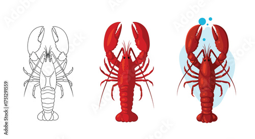 Three stages of lobster illustration from sketch to colored version with bubbles.