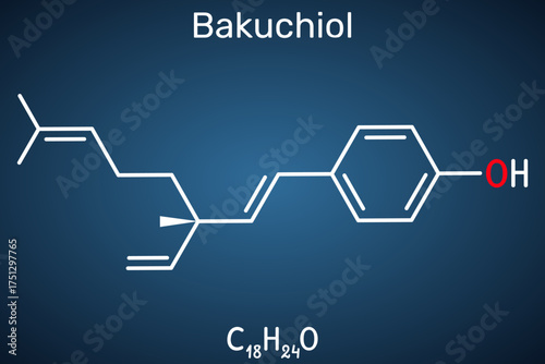 Bakuchiol molecule structure. Natural antioxidant compound used in skincare and anti-aging cosmetics. Dark blue background. Vector illustration
