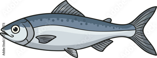 Blue and gray fish illustration depicting aquatic marine life in natural style vector graphic 