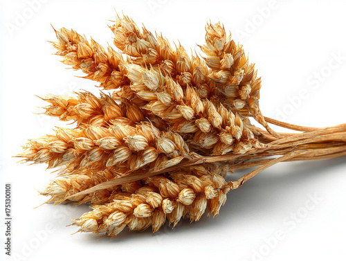 Close-up, golden yellow wheat stalks, plump grains, ready for harvesting, food photography technique, soft lighting, gentle quality, high contrast, depth of field, above perspective, cl - AI-Generated