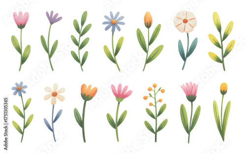 Wallpaper Mural Botanical watercolor floral collection with dainty blossoms and leaves in isolated on white background. Torontodigital.ca