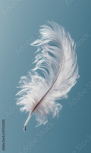 Delicate White Feather Floating Gently Against a Soft Blue Background