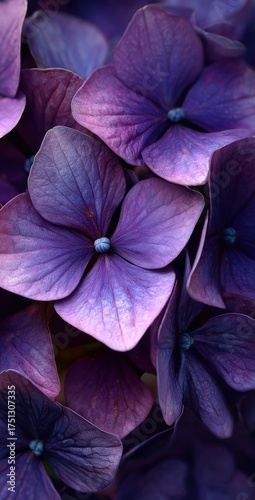 Vibrant Purple Flowers in Full Bloom Capturing the Essence of Spring Beauty a...