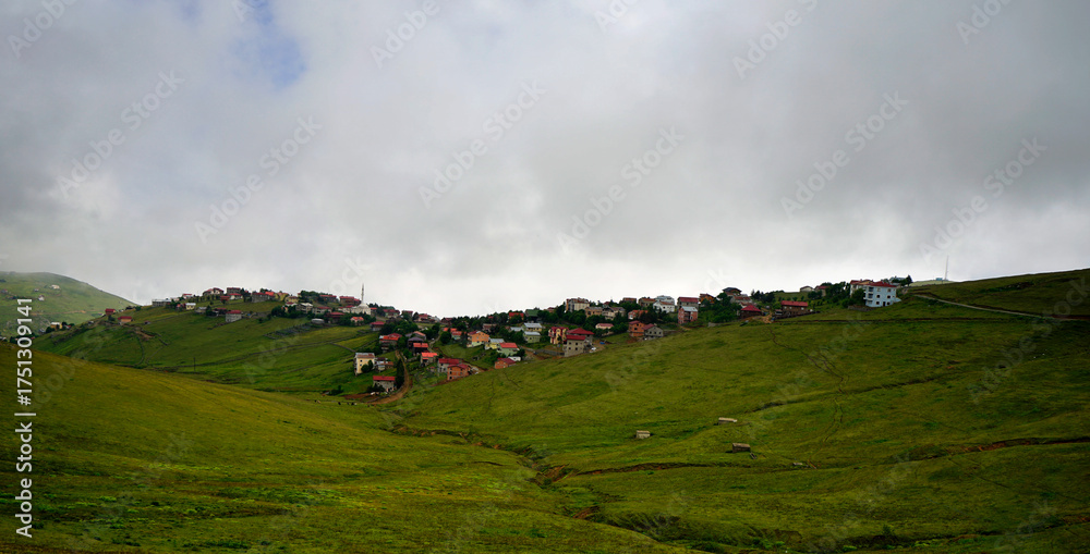 Obraz premium The Black Sea region in eastern Türkiye is famous for its high mountain plateaus, the most popular of which are the Uzungöl and Sultan Murat plateaus.01.08.2025, Trabzon,Türkiye