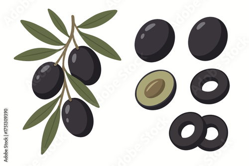 Black olives on branch and slices set against white background