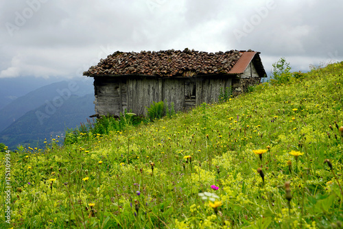 The Black Sea region in eastern Türkiye is famous for its high mountain plateaus, the most popular of which are the Uzungöl and Sultan Murat plateaus.01.08.2025, Trabzon,Türkiye