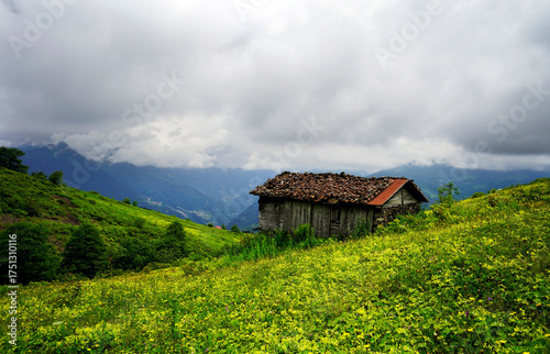 The Black Sea region in eastern Türkiye is famous for its high mountain plateaus, the most popular of which are the Uzungöl and Sultan Murat plateaus.01.08.2025, Trabzon,Türkiye