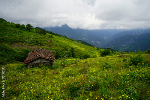 The Black Sea region in eastern Türkiye is famous for its high mountain plateaus, the most popular of which are the Uzungöl and Sultan Murat plateaus.01.08.2025, Trabzon,Türkiye