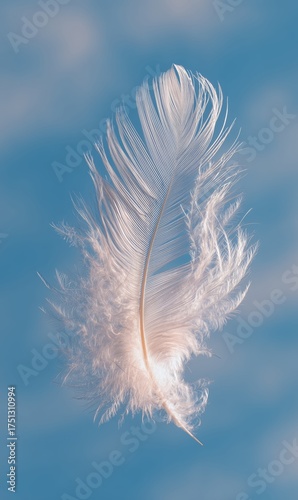 Delicate White Feather Floating Gently Against a Soft Blue Background