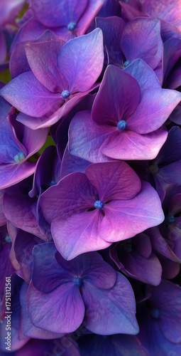 Vibrant Purple Flowers in Full Bloom Capturing the Essence of Spring Beauty a...