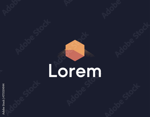 A modern and stylish logo design featuring a hexagon and a gradient color scheme, ideal for creative businesses looking to establish a vibrant brand identity.