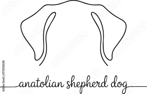 Anatolian Shepherd Dog Minimalist Line Art Illustration