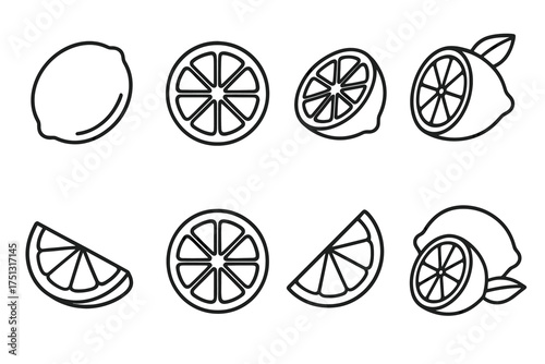 Outline drawings of whole, halved, and sliced lemons - vector style