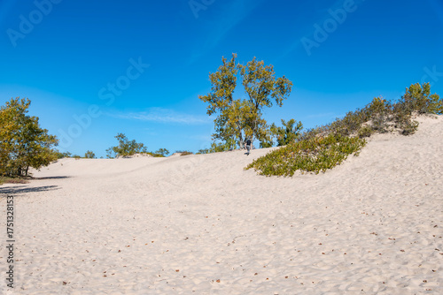 Man Hiking on Sandbanks Provincial Park Dunes Beach on a Sunny Day in Autumn