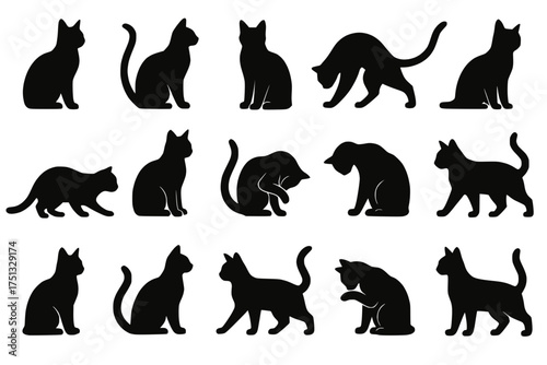 Cat Silhouette Collection in Black on Transparent Background with Diverse Feline Poses