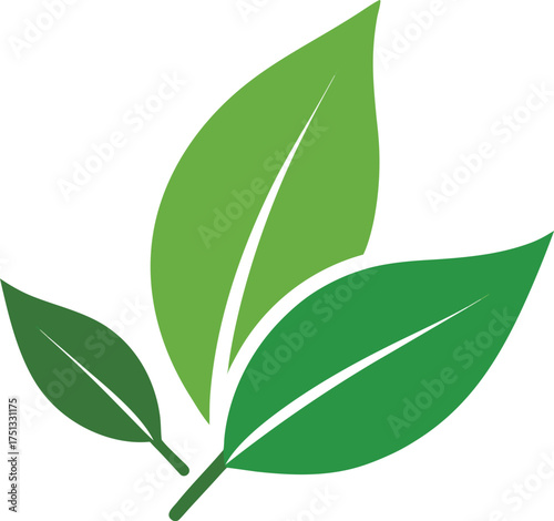 tea leaves clip art on transparent background