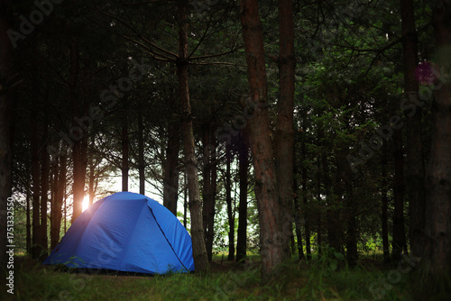 A blue tent in the forest	
