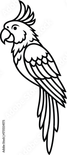 Elegant Cockatoo Perched Contour Drawing - Bird Line Art Illustration Graphic Isolated on Transparent Background Animal Outline Artwork Vector Graphics
