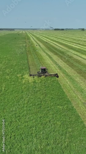 Top view of a combine harvester collecting crops. Vertical video. 