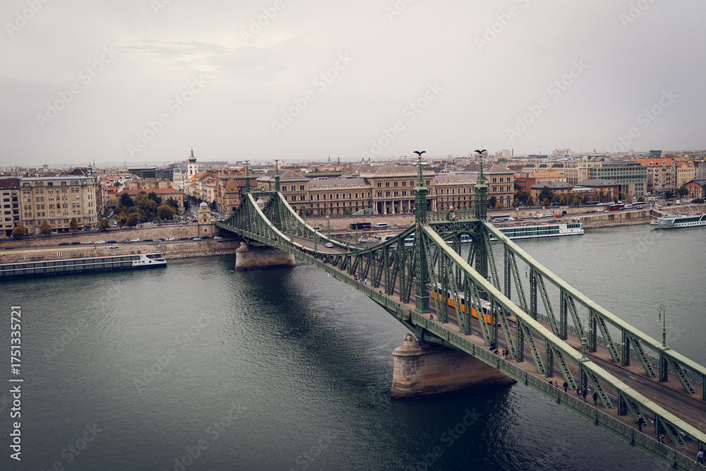 Fototapeta premium Budapest skyline with the bridge and castle
