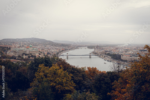 Budapest skyline with the bridge and castle