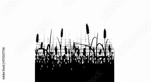 Silhouette of tall grass and reeds against a white background, evoking a natural, wild landscape.