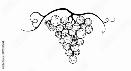 Delicate illustration of a ripe bunch of grapes with a winding vine