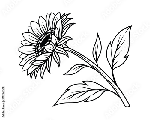 Elegant Sunflower Line Art Illustration Black and White Floral Design for Coloring Books and Graphic Elements