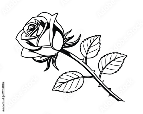 Elegant black and white rose illustration with detailed petals leaves and thorns ideal for tattoo design or graphic element projects
