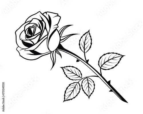 Elegant Black and White Rose Illustration with Intricate Details for Print or Digital Design Projects and Creative Applications