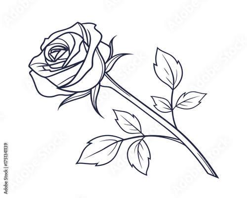 Elegant Rose Flower Line Art Illustration for Graphic Design and Creative Projects Black and White Floral Outline
