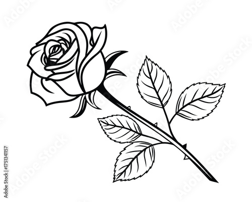 Elegant Black and White Rose Illustration Featuring Delicate Petals and Detailed Leaf Structure Ideal for Graphic Design Projects