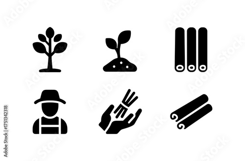 Cinnamon tree and spice icons for agriculture and culinary design