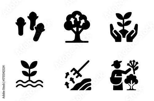 Clove cultivation icons for agricultural design and educational resources