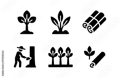 Cinnamon tree icons set - simple decorative elements for herbal and botanical design