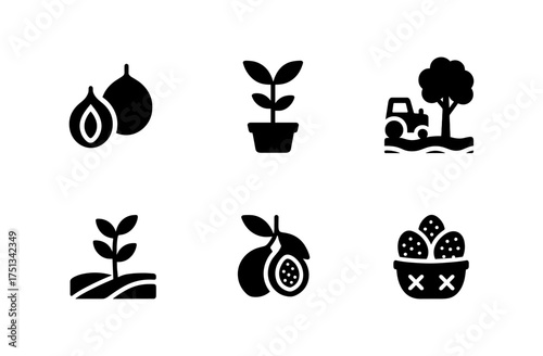 Nutmeg tree and plant icons collection for natural product design