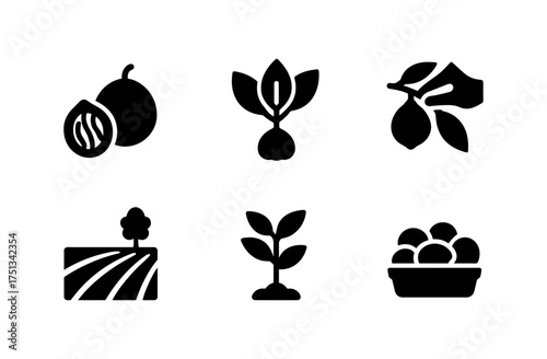 Nutmeg tree icons set with simple compositions for design and decor