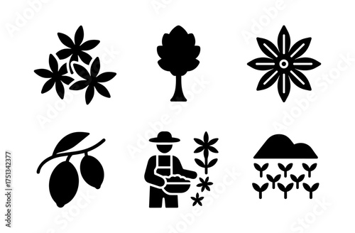 Star anise icon set featuring silhouettes of nature and agriculture elements for design and decoration