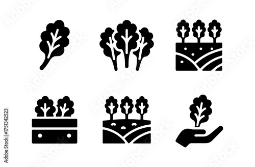 Kale icons collection: simple vegetable designs for gardening and organic themes