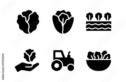 Lettuce cultivation icons set for farm and garden design projects