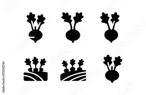 Kohlrabi icons set for healthy food design and digital projects