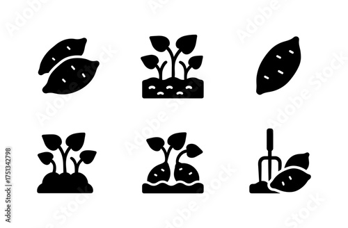 Sweet potato icons for gardening and cooking design projects