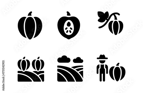 Acorn squash icons for autumn harvest and farming design projects