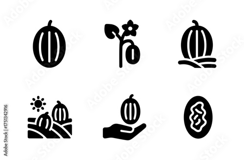 Spaghetti squash icons collection for autumn harvest design projects