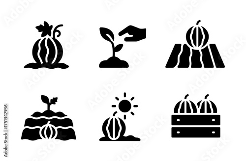 Watermelon cultivation icons set featuring farming and agricultural concepts for design